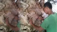 pengrajin mebel blora
