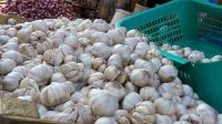 Harga Bawang Putih Naik 7%, Ini Penyebabnya