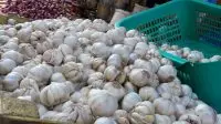 Harga Bawang Putih Kembali Naik Harga Bawang Putih Naik 7%, Ini Penyebabnya
