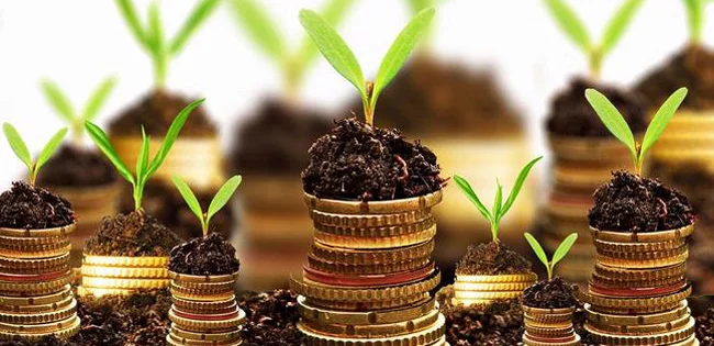 Jenis Aset Investasi