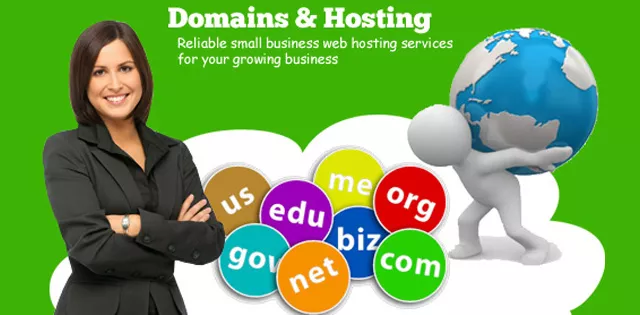 Pengertian Domain dan Web Hosting