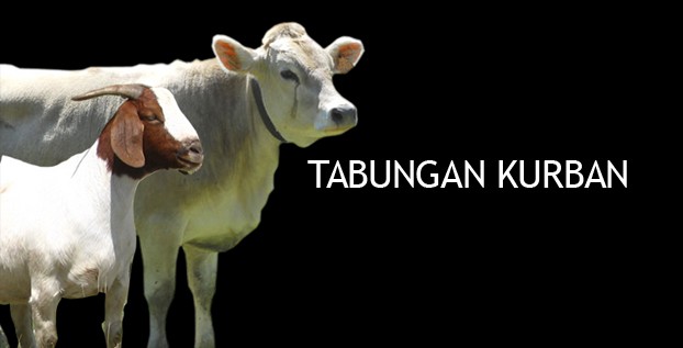 Tabungan Kurban, Solusi Merencanakan Kurban Dengan Tenang