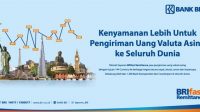 BRIfast Remittance