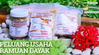 Peluang Usaha Ramuan Dayak