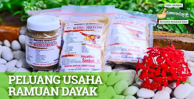 Peluang Usaha Ramuan Dayak