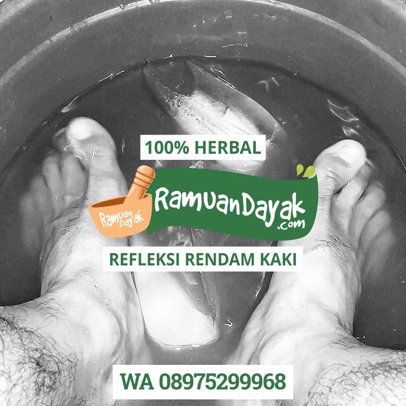 Peluang Usaha Ramuan Dayak, Sembuhkan Penyakit Dengan Refleksi Rendam Kaki Ramuan Dayak - Refleksi Rendam Kaki
