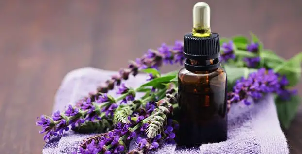 Mau Jualan Aroma Therapy? Simak Peluang Usaha Essential Oil di Indonesia