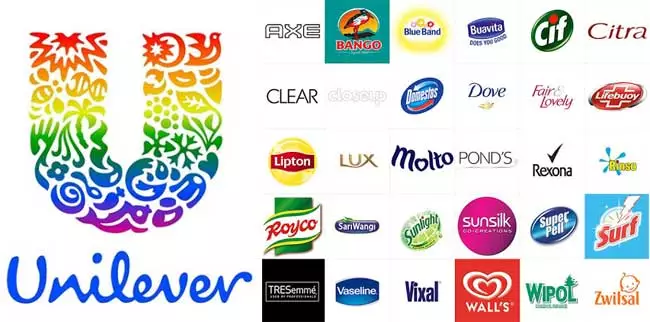 Pengertian Diversifikasi Adalah? Berikut Penjelasannya Unilever
