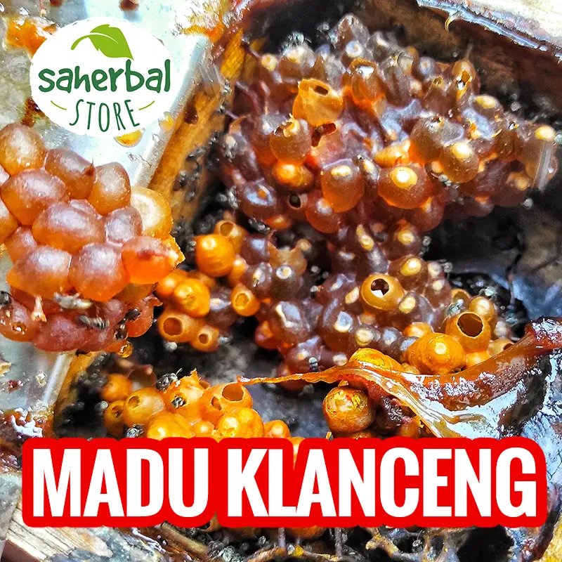 Jual Madu Klanceng trigona