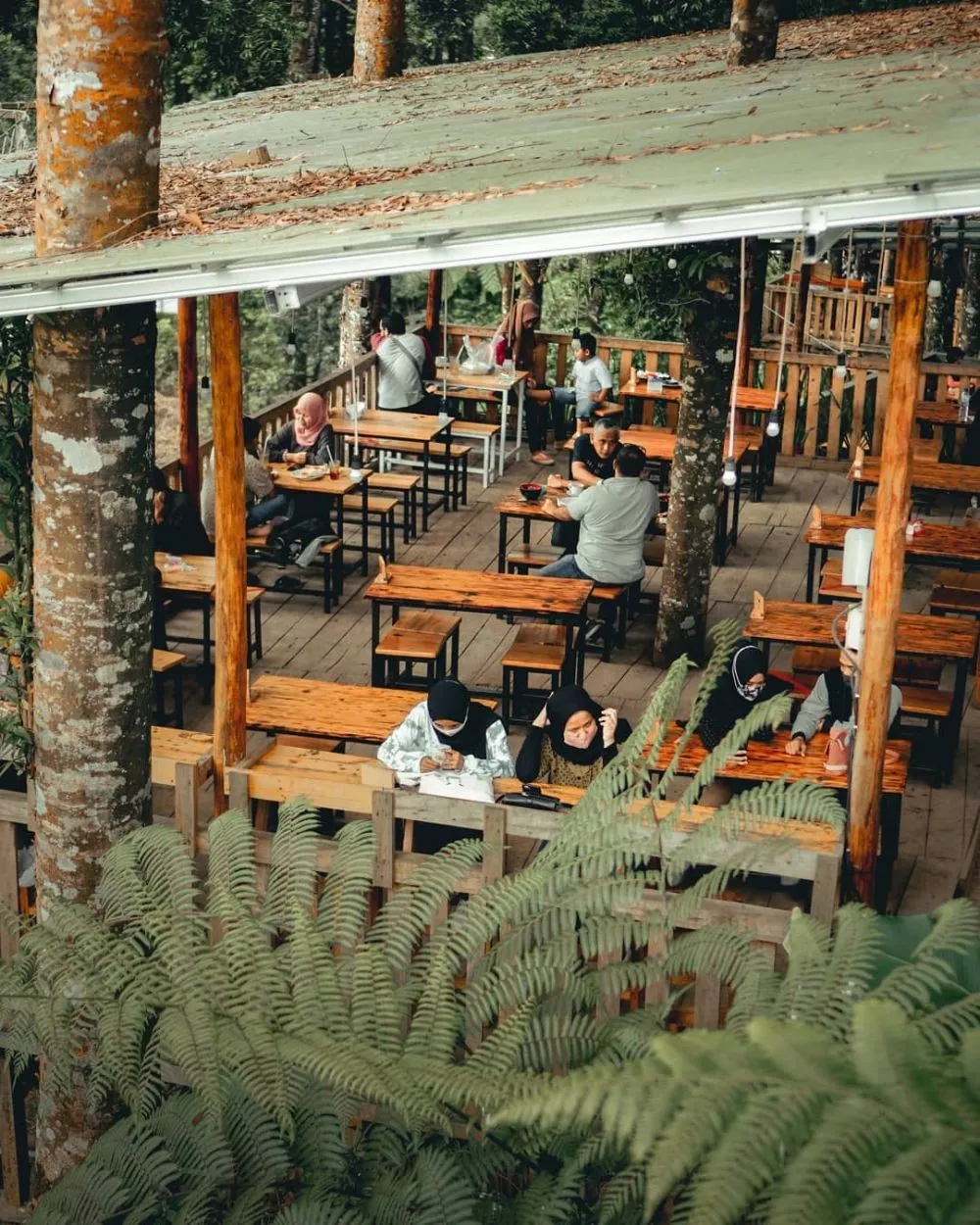 Konsep Desain Cafe Untuk Menarik Pengunjung Cafe Alam