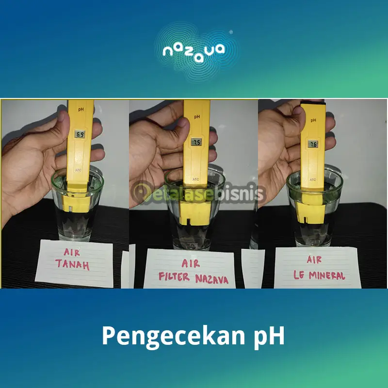 Pengecekan pH